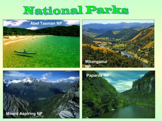 Abel Tasman NP
Mount Aspiring NP
Whanganui
NP
Paparoa NP
 