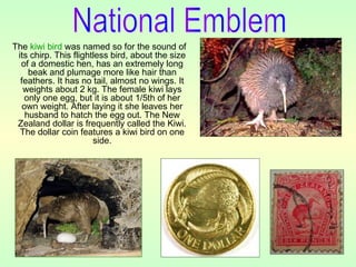 The kiwi bird was named so for the sound of
its chirp. This flightless bird, about the size
of a domestic hen, has an extremely long
beak and plumage more like hair than
feathers. It has no tail, almost no wings. It
weights about 2 kg. The female kiwi lays
only one egg, but it is about 1/5th of her
own weight. After laying it she leaves her
husband to hatch the egg out. The New
Zealand dollar is frequently called the Kiwi.
The dollar coin features a kiwi bird on one
side.
 