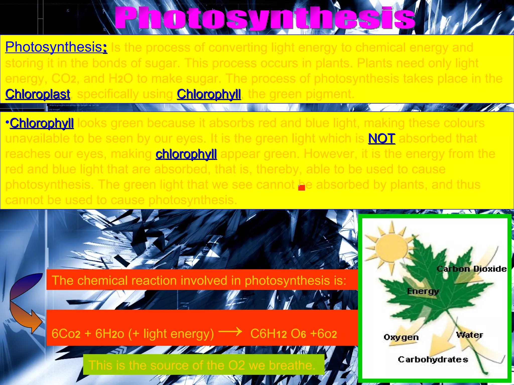 Photosynthesis Photosynthesis :  Is the process of converting light energy to chemical energy and storing it in the bonds of sugar. This process occurs in plants. Plants need only light energy, CO 2 , and H 2 O to make sugar. The process of photosynthesis takes place in the  Chloroplast , specifically using  Chlorophyll , the green pigment. Chlorophyll  looks green because it absorbs red and blue light, making these colours unavailable to be seen by our eyes. It is the green light which is  NOT  absorbed that reaches our eyes, making  chlorophyll  appear green. However, it is the energy from the red and blue light that are absorbed, that is, thereby, able to be used to cause photosynthesis. The green light that we see cannot be absorbed by plants, and thus cannot be used to cause photosynthesis. The chemical reaction involved in photosynthesis is: 6Co 2  + 6H 2 o (+ light energy)  ->  C6H 12  O 6  +6o 2 This is the source of the O2 we breathe.  
