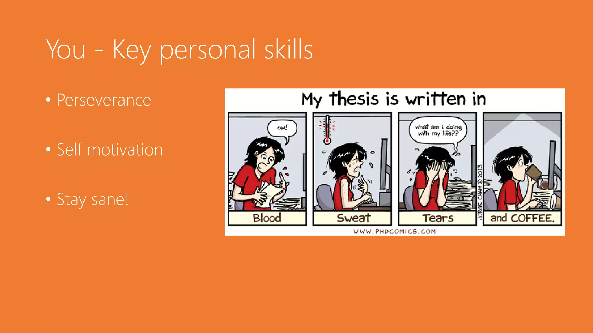 You - Key personal skills
• Perseverance
• Self motivation
• Stay sane!
 