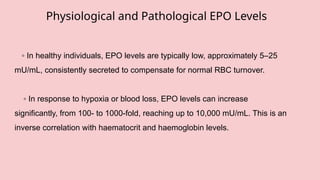 Presentation - Erythropoietin Overview.pptx