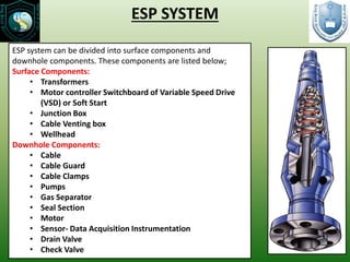 Presentation - (ESP) Systems - by mattew Amao.pdf