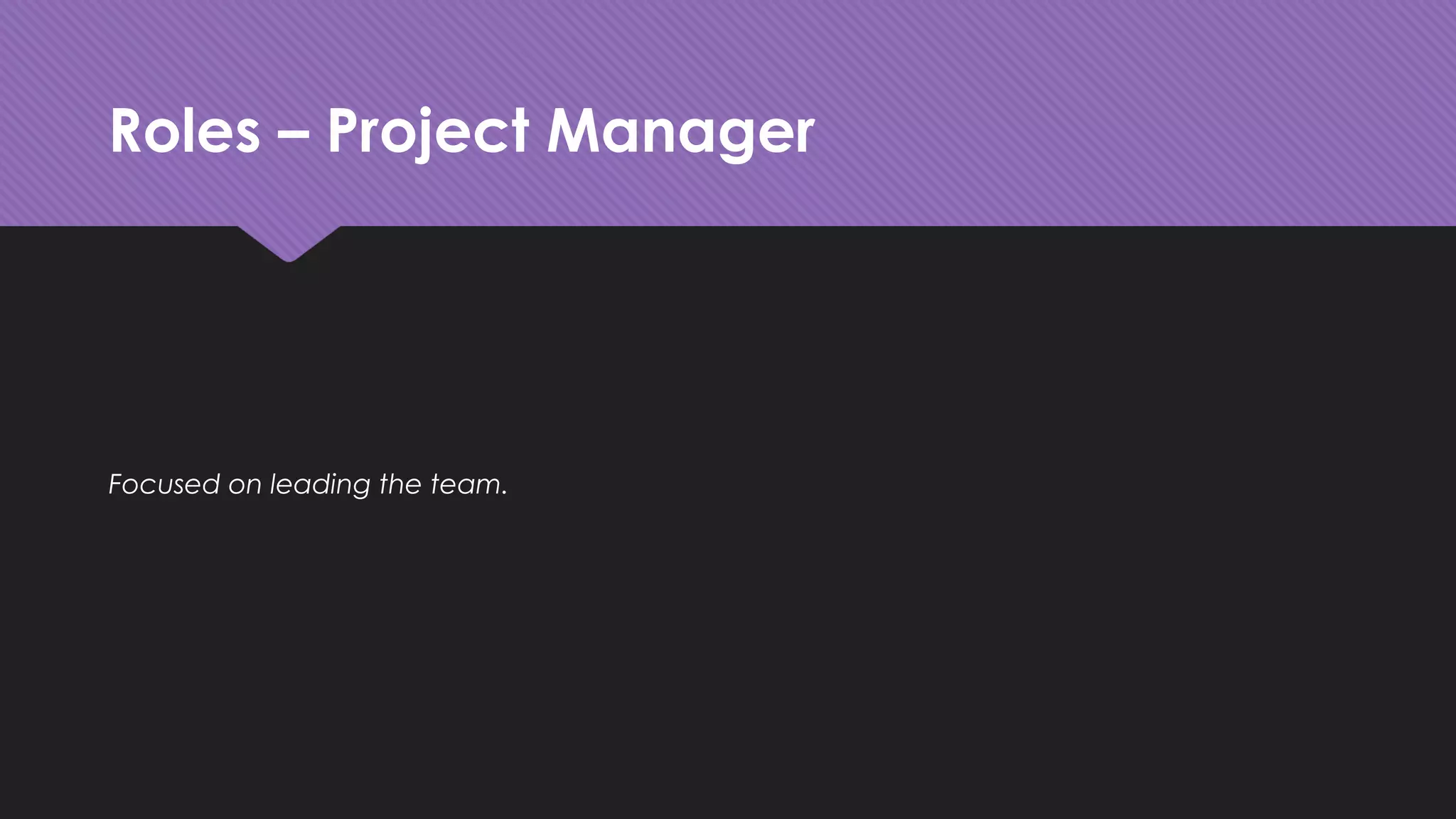 Roles – Project Manager
Focused on leading the team.
 