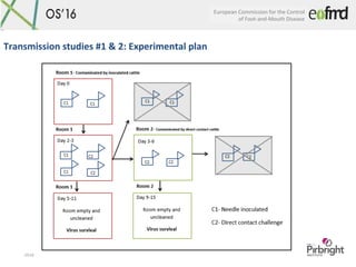 European	Commission	for	the	Control	
of	Foot-and-Mouth	Disease	
OS16	
Transmission	studies	#1	&	2:	Experimental	plan			
 