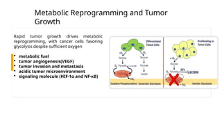 Comprehensive Insights into Tumor Growth and Angiogenesis Mechanisms | PPTX