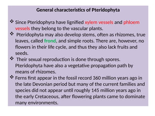 General characteristics of Pteridophyta
 Since Pteridophyra have lignified xylem vessels and phloem
vessels they belong to the vascular plants.
 Pteridophyta may also develop stems, often as rhizomes, true
leaves, called frond, and simple roots. There are, however, no
flowers in their life cycle, and thus they also lack fruits and
seeds.
 Their sexual reproduction is done through spores.
Pteridophyta have also a vegetative propagation path by
means of rhizomes.
 Ferns first appear in the fossil record 360 million years ago in
the late Devonian period but many of the current families and
species did not appear until roughly 145 million years ago in
the early Cretaceous, after flowering plants came to dominate
many environments.
 