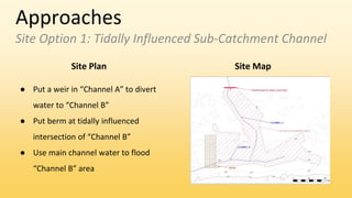 Approaches
Site Option 1: Tidally Influenced Sub-Catchment Channel
● Put a weir in “Channel A” to divert
water to “Channel B”
● Put berm at tidally influenced
intersection of “Channel B”
● Use main channel water to flood
“Channel B” area
Site Plan Site Map
 