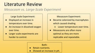Literature Review
Mesocosm vs. Large-Scale Experiment
Large Scale Experiment:
● Displayed an increase in
temperature over time.
● An increase in dissolved oxygen
over time.
● Larger scale experiments are
harder to control.
Mesocosm Experiment:
● Became colonized by macrophytes
which caused shading.
○ Lower temperature over time.
● Mesocosms are often more
optimal as they are more
replicable and repeatable.
Both:
● Retain nutrients.
● Showed an increase in pH.
 