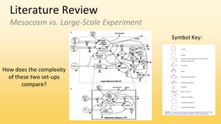 Literature Review
Mesocosm vs. Large-Scale Experiment
How does the complexity
of these two set-ups
compare?
Symbol Key:
 