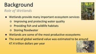 Background
Role of Wetlands
● Wetlands provide many important ecosystem services
○ Improving and protecting water quality
○ Providing fish and wildlife habitats
○ Storing floodwater
● Wetlands are some of the most productive ecosystems
● The overall global wetland value was estimated to be around
47.4 trillion dollars per year
 