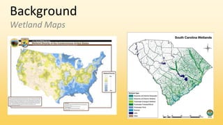 Background
Wetland Maps
 
