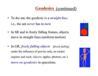 • To the ant, the geodesic is a straight line,
i.e., the ant never has to turn
• In SR and in freely falling frames, objects
move in straight lines (uniform motion)
• In GR, freely falling objects (freely falling:
under the influence of gravity only, no rocket
engines and such; objects: apples, photons, etc.)
move on geodesics in spacetime.
Geodesics (continued)
 
