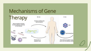 5
Mechanisms of Gene
Therapy
 