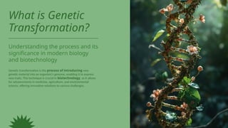Presentation - Genetic Transformation (1).pptx