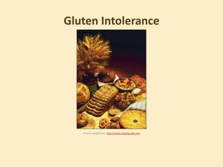 Gluten Intolerance  Picture supplied by:  http://www.clipartguide.com 