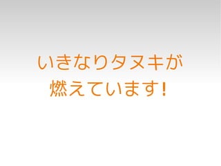 いきなりタヌキが
 燃えています!
 