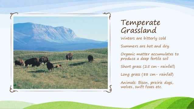 Grasslands (Types and Vegetation)