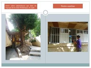 Notre arbre (phytolacca) qui date de
l’époque de la reine Frederique, en 1936 .
Notre cantine
 