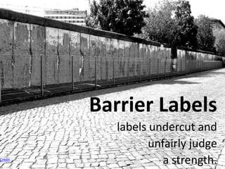 Barrier Labels
labels undercut and
unfairly judge
a strength.Credit
 