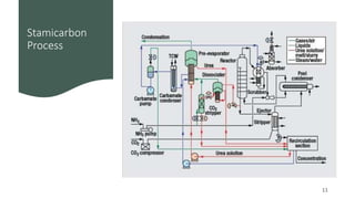 Stamicarbon Pool Condenser production of urea Presentation-Group 4.pptx