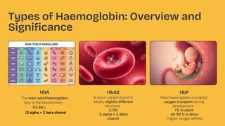 Comprehensive Overview of Haemoglobin: Types, Formation, Disorders, and ...