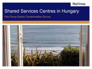 Shared Services Centres in Hungary
Hay Group Sector Compensation Survey
 