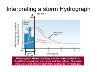 Interpreting a storm Hydrograph 