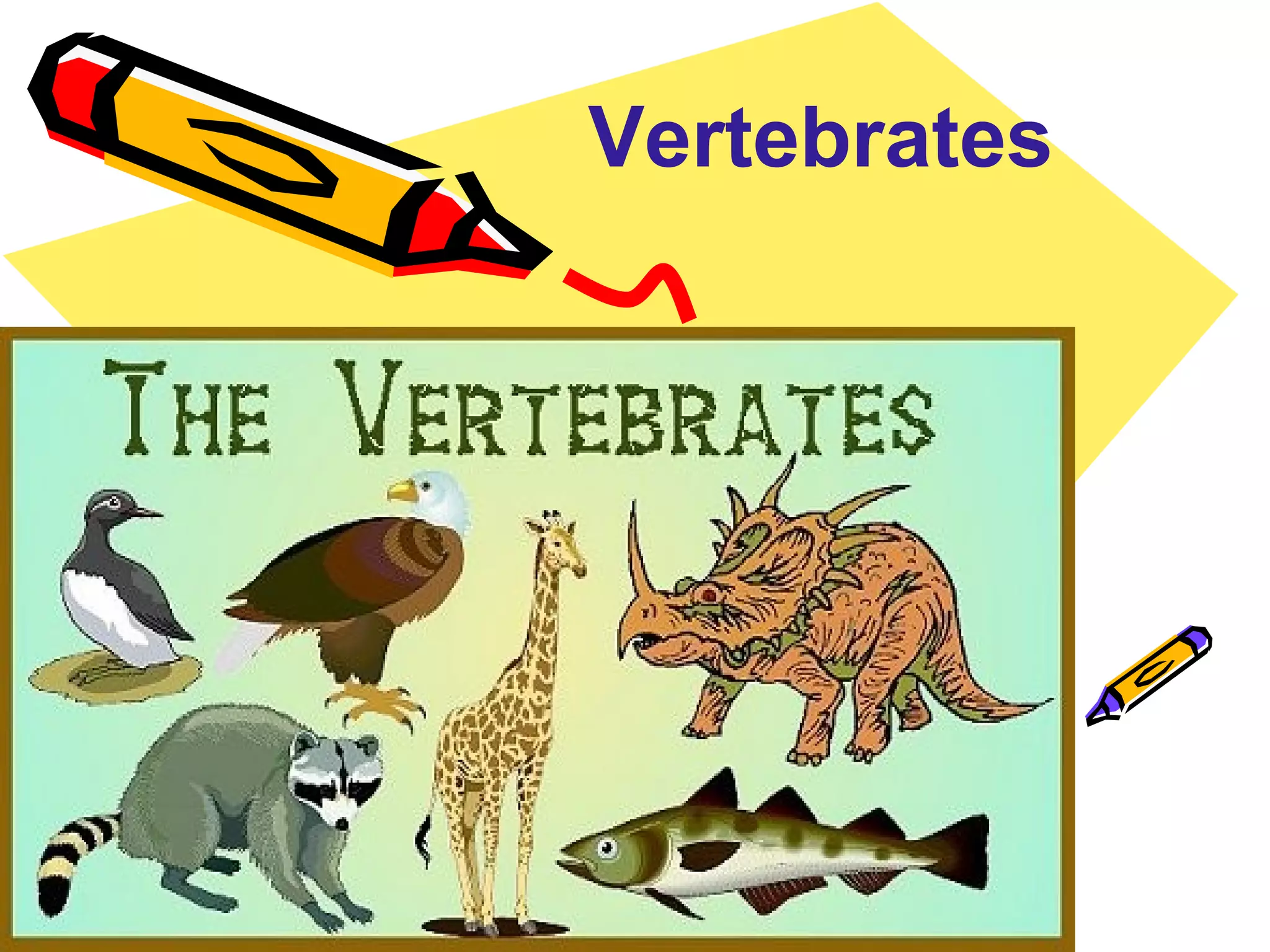 Vertebrates