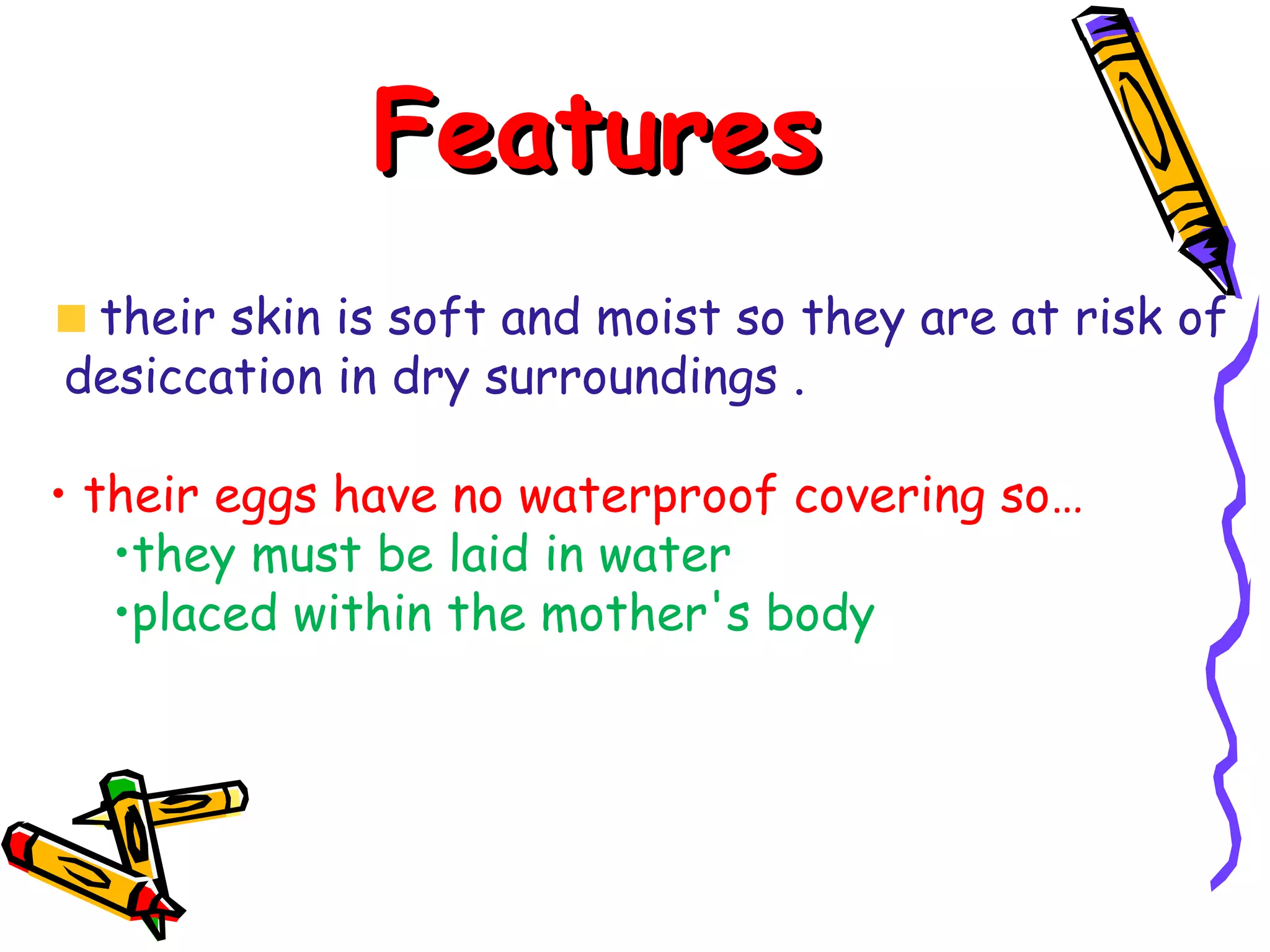 Features their skin is soft and moist so they are at risk of desiccation in dry surroundings . their eggs have no waterproof covering so… they must be laid in water placed within the mother's body