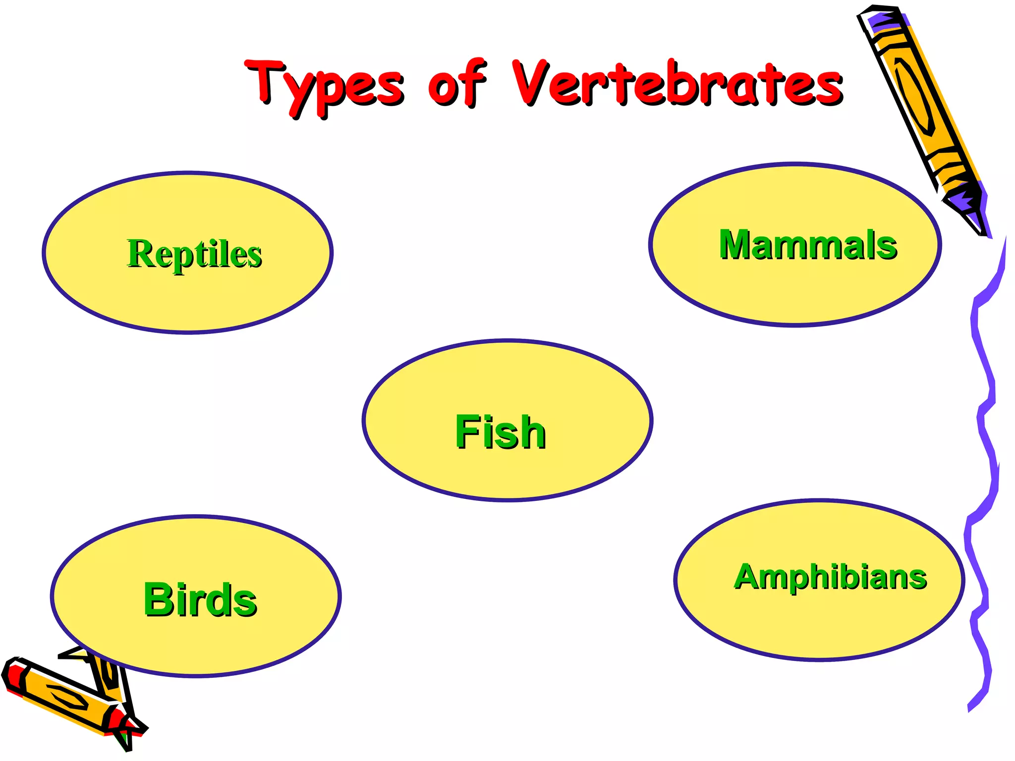 Types of Vertebrates Amphibians Mammals Birds Fish Reptiles Birds Mammals Mammals Mammals Amphibians Amphibians Reptiles Mammals Mammals Amphibians Fish Birds Reptiles