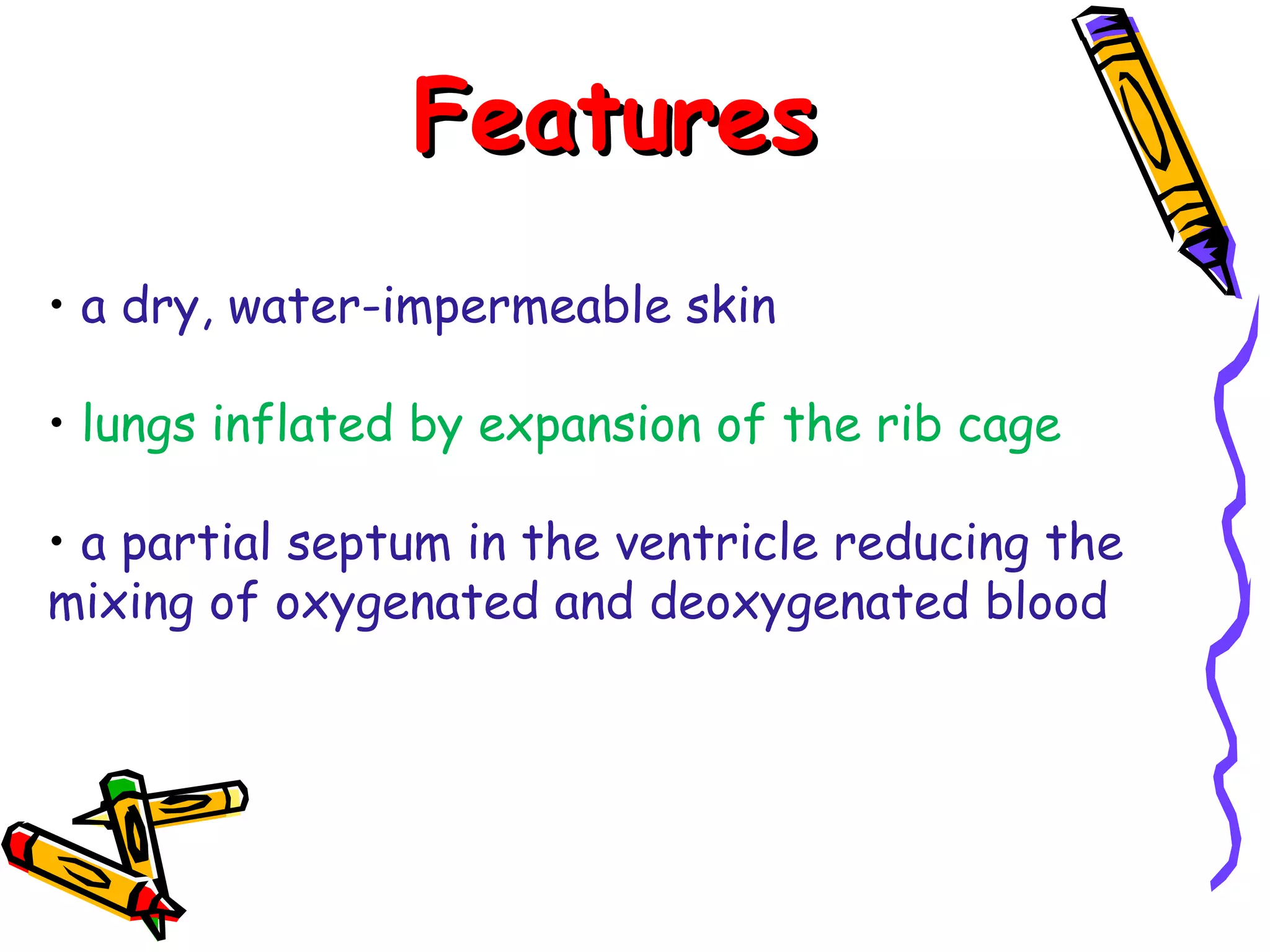 Features a dry, water-impermeable skin lungs inflated by expansion of the rib cage a partial septum in the ventricle reducing the mixing of oxygenated and deoxygenated blood