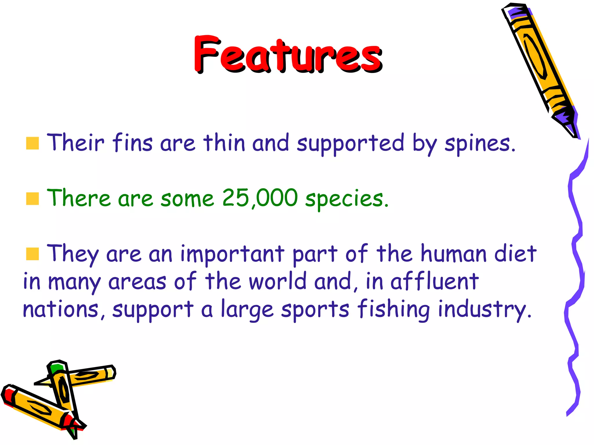 Features Their fins are thin and supported by spines. There are some 25,000 species. They are an important part of the human diet in many areas of the world and, in affluent nations, support a large sports fishing industry.