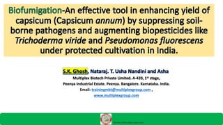 Bio fumigation - A potential tool for pre showing soil treatment | PDF