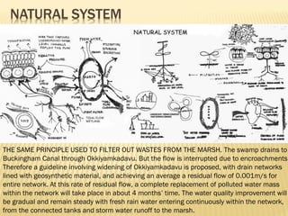 THE SAME PRINCIPLE USED TO FILTER OUT WASTES FROM THE MARSH. The swamp drains to
Buckingham Canal through Okkiyamkadavu. But the flow is interrupted due to encroachments.
Therefore a guideline involving widening of Okkiyamkadavu is proposed, with drain networks
lined with geosynthetic material, and achieving an average a residual flow of 0.001m/s for
entire network. At this rate of residual flow, a complete replacement of polluted water mass
within the network will take place in about 4 months’ time. The water quality improvement will
be gradual and remain steady with fresh rain water entering continuously within the network,
from the connected tanks and storm water runoff to the marsh. 
 