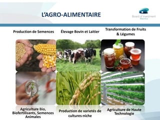 L’AGRO-ALIMENTAIRE
Élevage Bovin et Laitier
Transformation de Fruits
& Légumes
Production de Semences
Agriculture Bio,
Biofertilisants, Semences
Animales
Production de varietés de
cultures-niche
Agriculture de Haute
Technologie
 