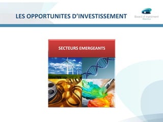 SECTEURS EMERGEANTS
LES OPPORTUNITES D’INVESTISSEMENT
 