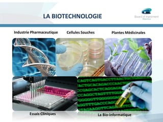LA BIOTECHNOLOGIE
Industrie Pharmaceutique
La Bio-informatique
Cellules Souches Plantes Médicinales
Essais Cliniques
 