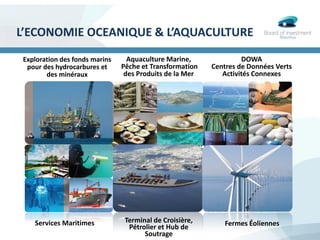 L’ECONOMIE OCEANIQUE & L’AQUACULTURE
Aquaculture Marine,
Pêche et Transformation
des Produits de la Mer
DOWA
Centres de Données Verts
Activités Connexes
Exploration des fonds marins
pour des hydrocarbures et
des minéraux
Services Maritimes Terminal de Croisière,
Pétrolier et Hub de
Soutrage
Fermes Éoliennes
 