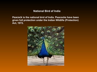 National Bird of India
Peacock is the national bird of India. Peacocks have been
given full protection under the Indian Wildlife (Protection)
Act, 1972.
 