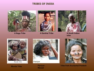 A Naga Tribe A Santhal Tribe A South Indian
tribe
Munda Tribe Paniyar-
Wynad
Tribe from Arunachal Pradesh
TRIBES OF INDIA
 