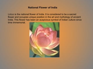 National Flower of India
Lotus is the national flower of India. It is considered to be a sacred
flower and occupies unique position in the art and mythology of ancient
India. This flower has been an auspicious symbol of Indian culture since
time immemorial.
 
