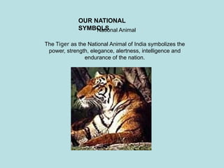OUR NATIONAL
SYMBOLS
The Tiger as the National Animal of India symbolizes the
power, strength, elegance, alertness, intelligence and
endurance of the nation.
National Animal
 