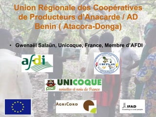 Union Régionale des Coopératives
de Producteurs d’Anacarde / AD
Benin ( Atacora-Donga)
• Gwenaël Salaün, Unicoque, France, Membre d’AFDI
1
 