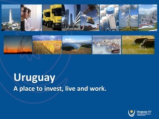 Uruguay
A place to invest, live and work.
 