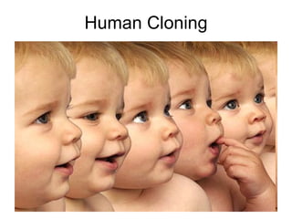 Human Cloning 
