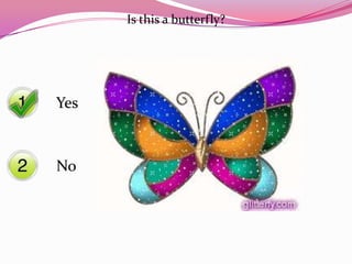 Is this a butterfly?




Yes



No
 