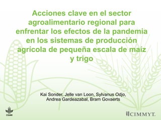 Acciones clave en el sector
agroalimentario regional para
enfrentar los efectos de la pandemia
en los sistemas de producción
agrícola de pequeña escala de maíz
y trigo
Kai Sonder, Jelle van Loon, Sylvanus Odjo,
Andrea Gardeazabal, Bram Govaerts
 
