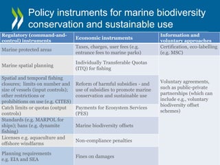 Policy instruments for marine biodiversity
conservation and sustainable use
Regulatory (command-and-
control) instruments
...
