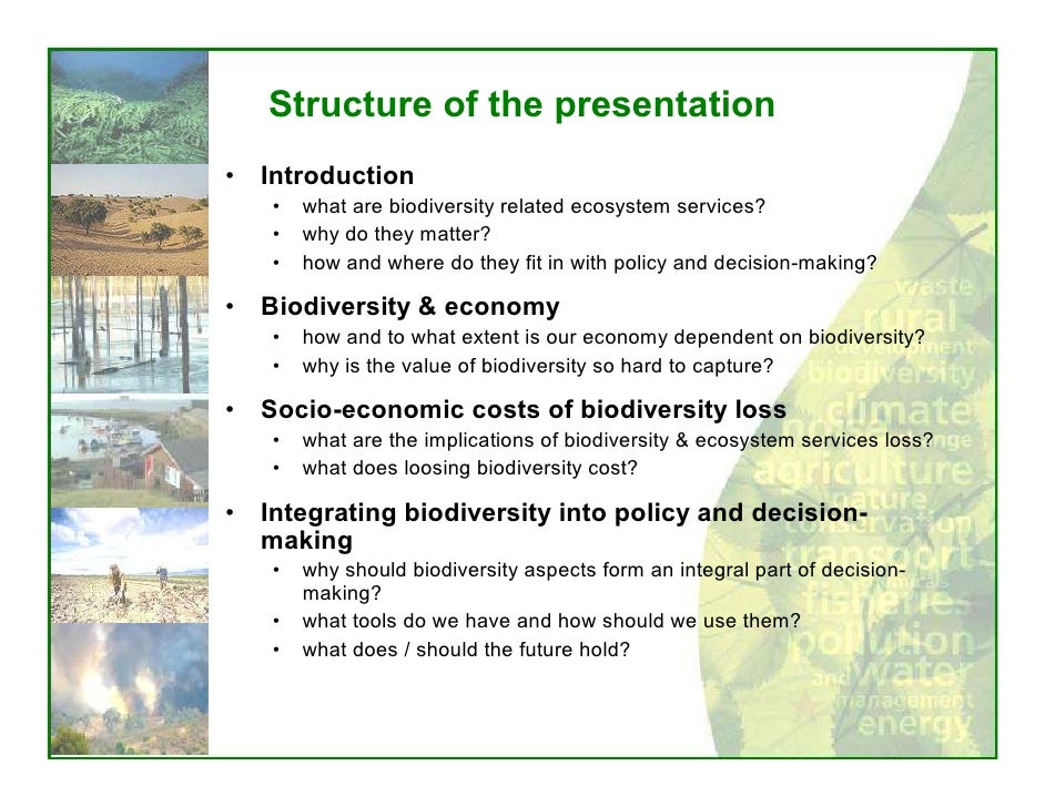 brinks presentation brinks presentation