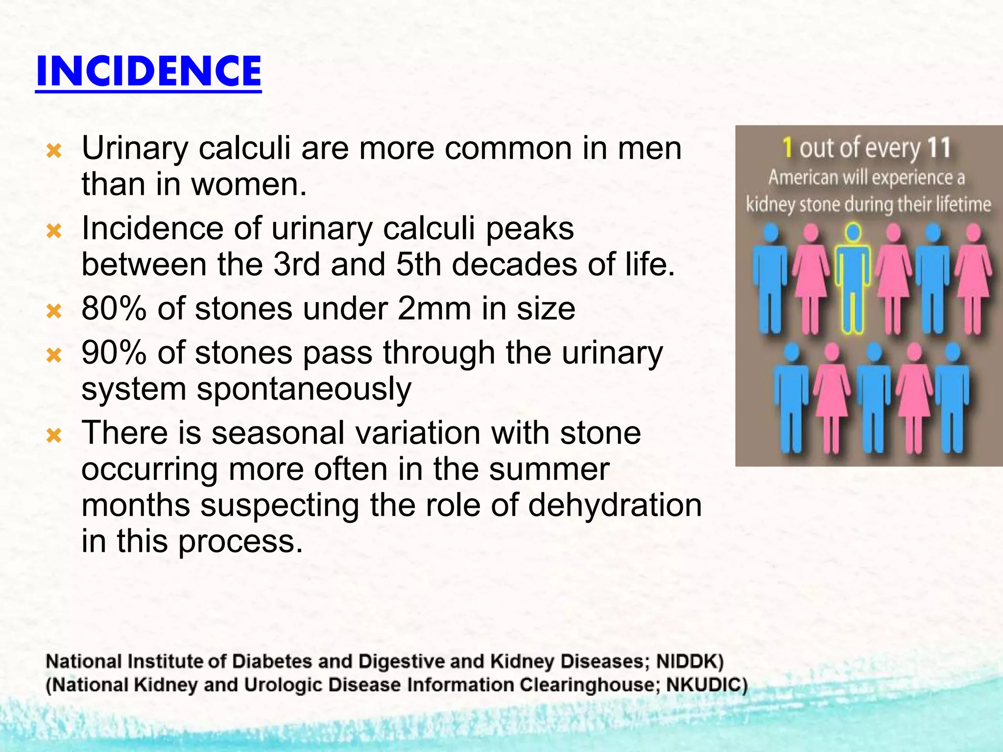 Presentation kidney-stone final | PPTX